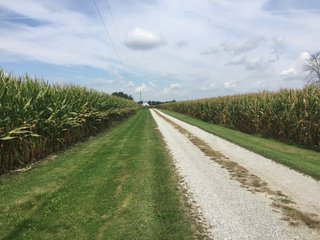 Property photo 20 - PRIME LAND AUCTION - 244+/- ACRES OFFERED IN 4 TRACTS IN UNION CO., IN & PREBLE CO., OH